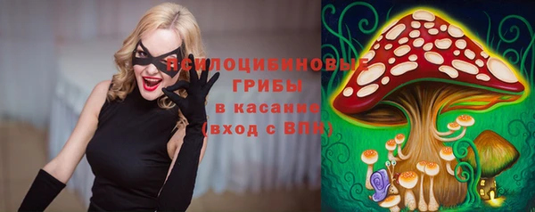крисы Богородицк