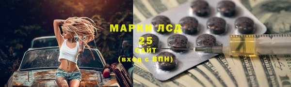 крисы Богородицк