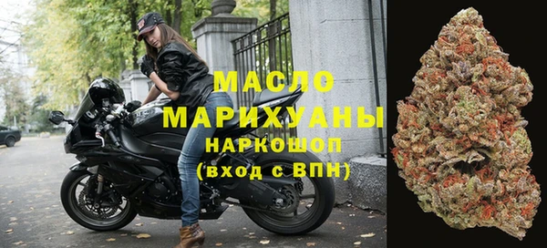 гидра Богородск