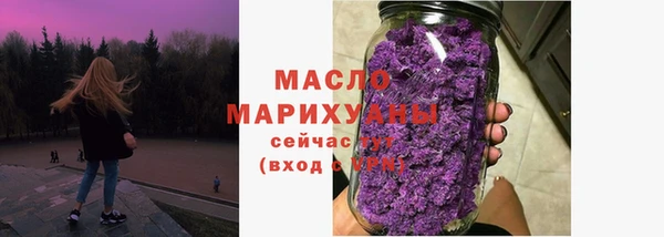 гидра Богородск