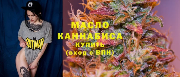 гидра Богородск
