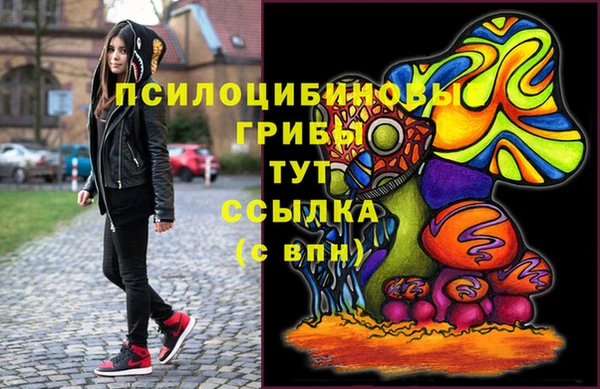 крисы Богородицк