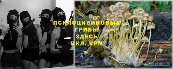 крисы Богородицк