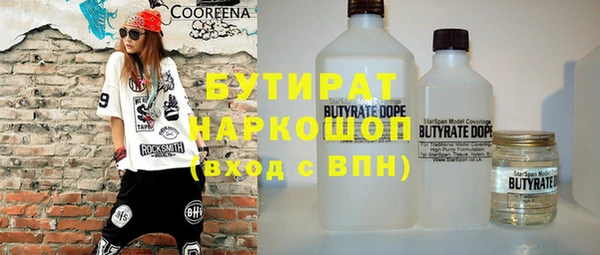 гидра Богородск