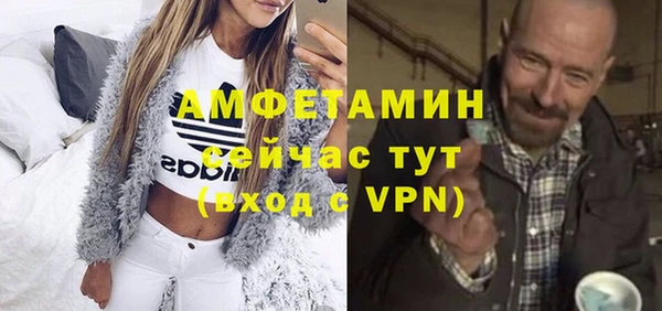 гидра Богородск