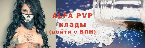 крисы Богородицк