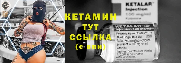 крисы Богородицк